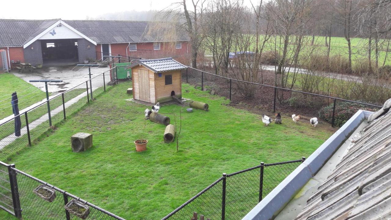 Bed & Breakfast “ Gastvrij Onthaal “ Een-West Kültér fotó
